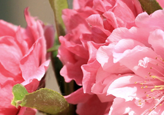 見(jiàn)封滾是什么意思？