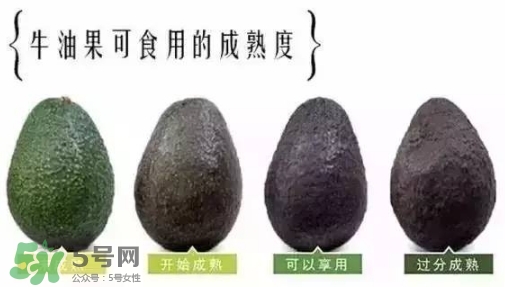 牛油果是什么味道？牛油果是甜的嗎？