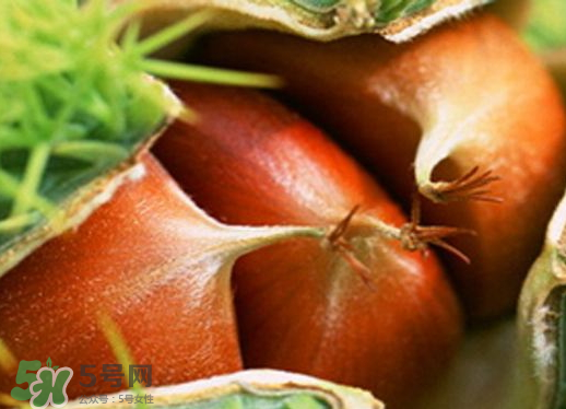 板栗泡酒要去皮嗎？板栗泡酒不去皮可以嗎？