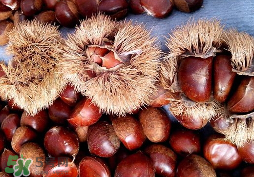 板栗泡酒要去皮嗎？板栗泡酒不去皮可以嗎？