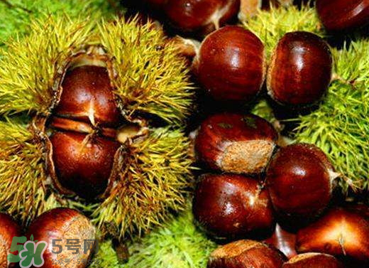 板栗泡酒要去皮嗎？板栗泡酒不去皮可以嗎？