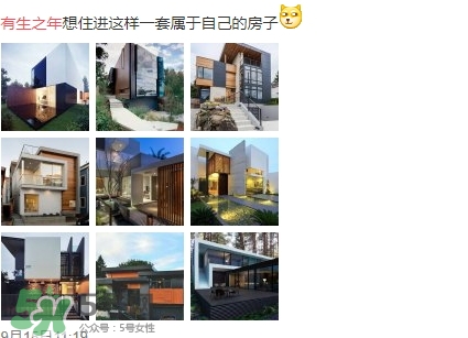 有生之年系列是什么意思_出處 有生之年系列是什么意思_出處