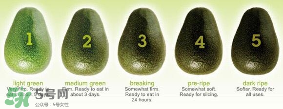 牛油果隔夜了還能吃嗎？牛油果可以冷凍保存嗎？