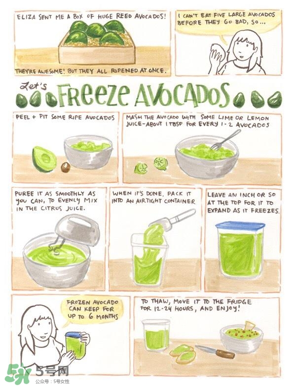 牛油果隔夜了還能吃嗎？牛油果可以冷凍保存嗎？