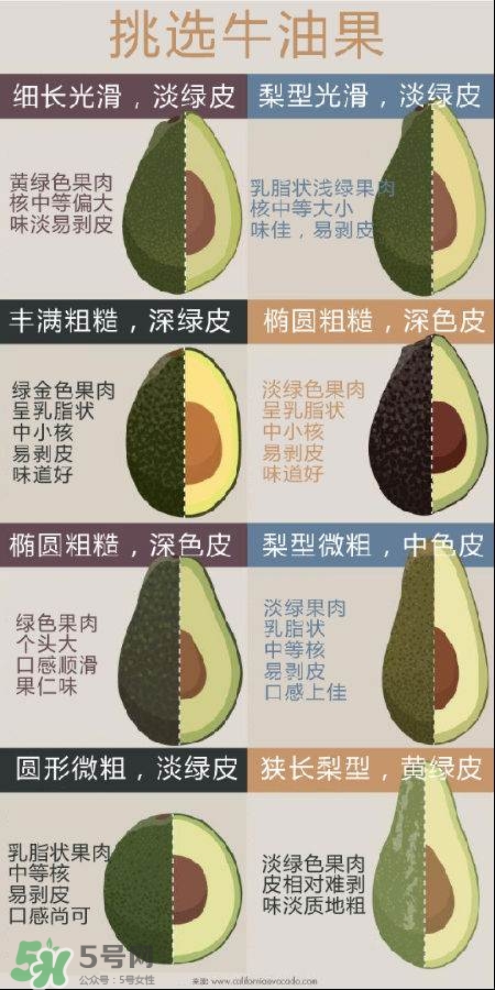 牛油果怎么挑選？牛油果多少錢一斤？