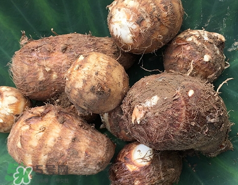 吃芋頭會放屁嗎_吃芋頭會屁多嗎 吃芋頭會放屁嗎_吃芋頭會屁多嗎