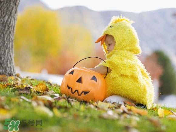 喝核桃粉有什么好處？喝核桃粉會(huì)長(zhǎng)胖嗎？