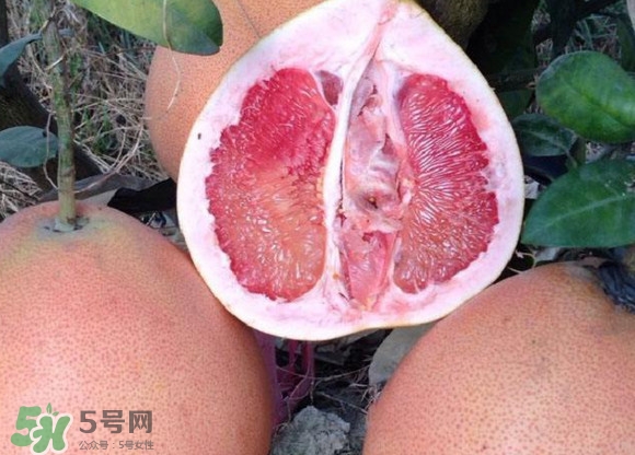 三紅蜜柚口味怎么樣？三紅蜜柚苗多少錢一棵