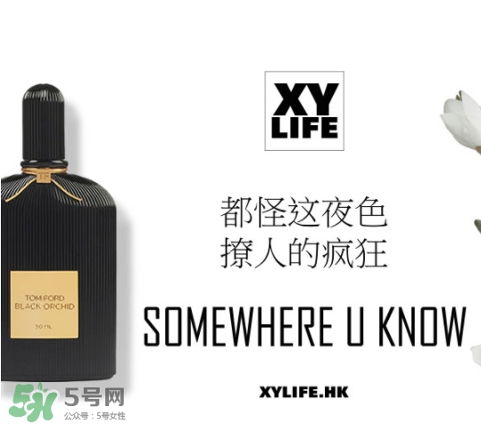 tom ford午夜蘭花香水多少錢？午夜蘭花香水專柜價格