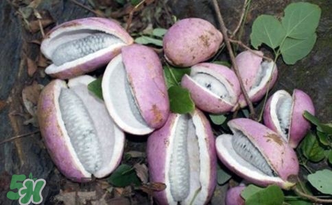 八月炸怎么吃法?八月炸的吃法 八月炸怎么吃法?八月炸的吃法