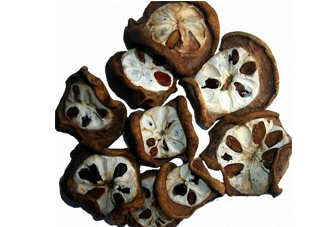 預(yù)知子是什么？預(yù)知子中藥能治什么病