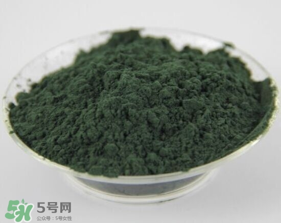 螺旋藻粉怎么吃？螺旋藻粉的功效與作用