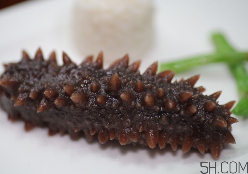 海參是酸性還是堿性？海參是涼性還是熱性？