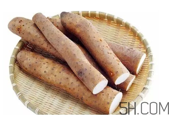 山藥冬天怎么保存不爛？山藥可以和白蘿卜一起吃嗎？