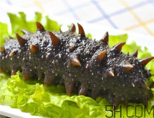 海參哪些部位不能吃？海參的禁忌人群