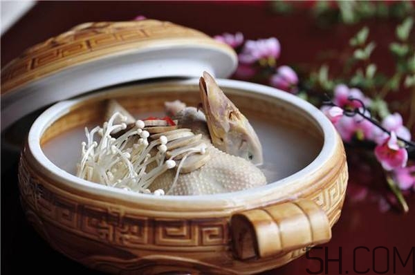 海參可以和鴨一起燉嗎？海參鴨肉湯的功效作用