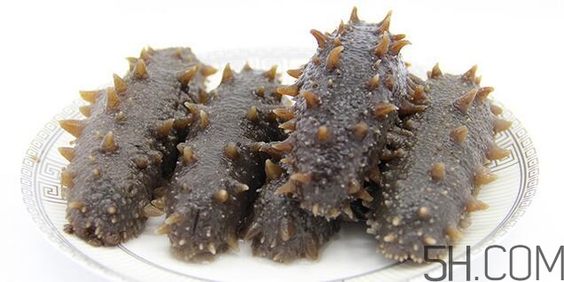 海參是越大越好嗎？海參的生長年限與營養(yǎng)價值有關(guān)嗎？