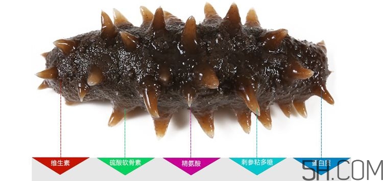 海參哪些部位不能吃？海參的禁忌人群