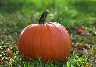 南瓜和桃子一起能長(zhǎng)期吃嗎？吃南瓜皮膚變黃怎么辦？