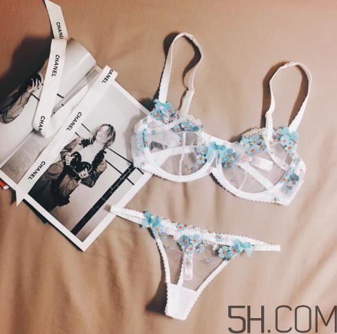 agent provocateur什么價(jià)位？agent provocateur內(nèi)衣價(jià)格