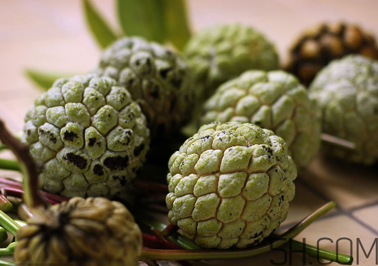 2017釋迦多少錢一斤?2017釋迦價(jià)格 2017釋迦多少錢一斤?2017釋迦價(jià)格