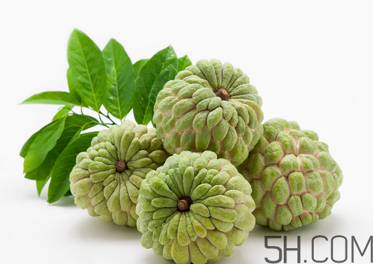 2017釋迦多少錢一斤?2017釋迦價(jià)格 2017釋迦多少錢一斤?2017釋迦價(jià)格