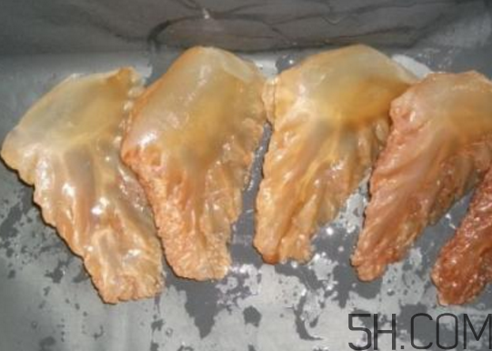 海蜇頭能吃嗎？海蜇頭多少錢一斤？