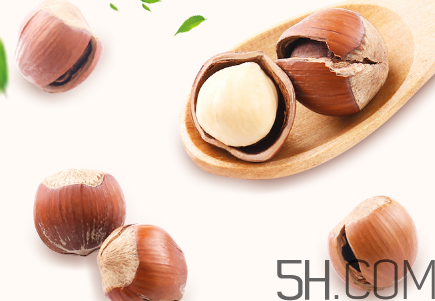 榛子可以天天吃嗎？榛子可以每天吃多少？