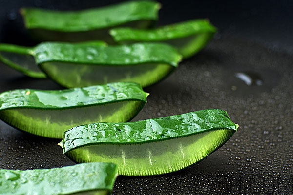 用蘆薈擦臉有什么好處 用蘆薈擦臉的正確方法 用蘆薈擦臉有什么好處 用蘆薈擦臉的正確方法
