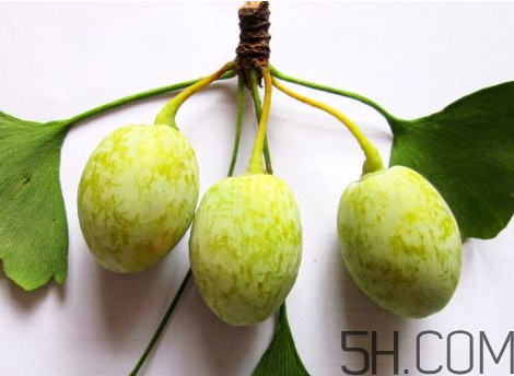 白果為什么是苦的 白果苦能吃嗎 白果為什么是苦的 白果苦能吃嗎