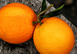 褚橙什么時候上市？褚橙是什么品種