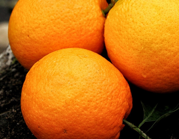 褚橙是哪個(gè)地方的特產(chǎn)？褚橙是怎么做營(yíng)銷的