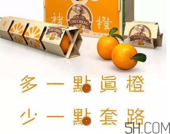 褚橙真的那么好吃嗎？褚橙哪里可以買到