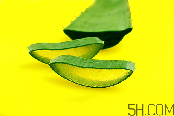 用蘆薈擦臉有什么好處 用蘆薈擦臉的正確方法 用蘆薈擦臉有什么好處 用蘆薈擦臉的正確方法