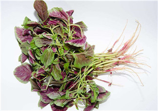 莧菜是酸性還是堿性？吃莧菜有什么好處？