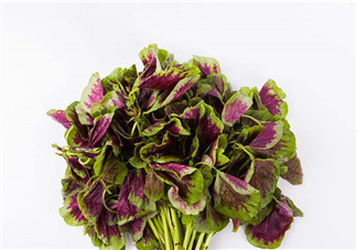 上火能吃咸莧菜嗎？寶寶能吃莧菜嗎？