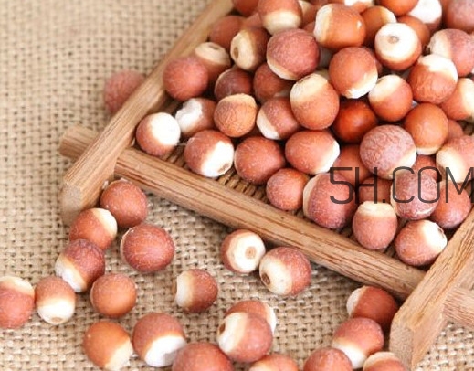 芡實(shí)營養(yǎng)價(jià)值有哪些？芡實(shí)哪里的最好