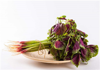 莧菜為什么是紅的？莧菜是涼性的嗎？