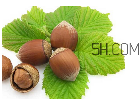 榛子可以用烤箱烤嗎？用烤箱烤榛子怎么烤？