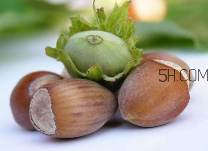 榛子生吃好還是熟吃好？榛子怎么吃營養(yǎng)價值高？