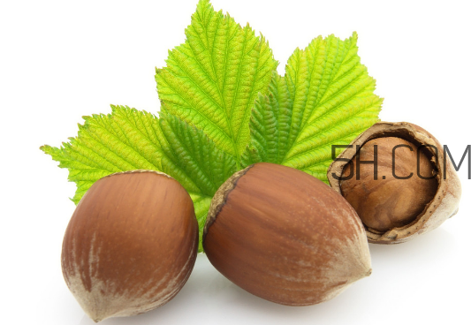 榛子的皮可以吃嗎？榛子的皮怎么處理？