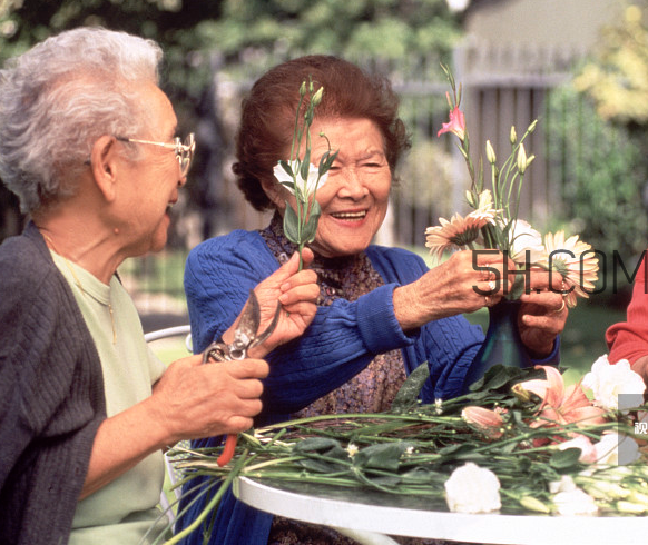 頸椎病會(huì)引起腦供血不足嗎?頸椎病會(huì)引起咳嗽嗎? 頸椎病會(huì)引起腦供血不足嗎?頸椎病會(huì)引起咳嗽嗎?