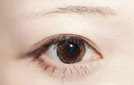 新手怎么畫眉毛圖解 新手畫眉毛的步驟圖片 新手怎么畫眉毛圖解 新手畫眉毛的步驟圖片