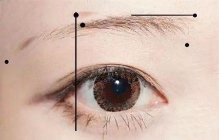 新手怎么畫眉毛圖解 新手畫眉毛的步驟圖片 新手怎么畫眉毛圖解 新手畫眉毛的步驟圖片