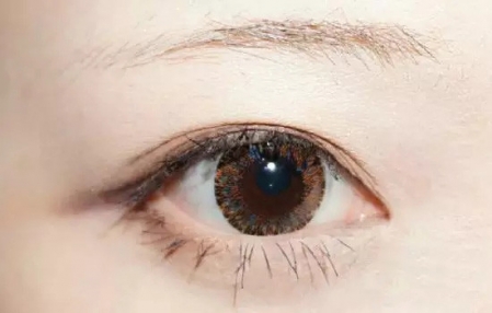 新手怎么畫眉毛圖解 新手畫眉毛的步驟圖片 新手怎么畫眉毛圖解 新手畫眉毛的步驟圖片