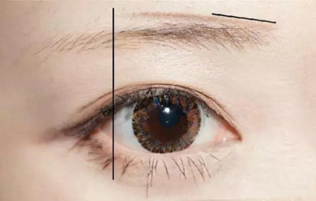 新手怎么畫眉毛圖解 新手畫眉毛的步驟圖片 新手怎么畫眉毛圖解 新手畫眉毛的步驟圖片