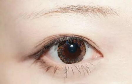 新手怎么畫眉毛圖解 新手畫眉毛的步驟圖片 新手怎么畫眉毛圖解 新手畫眉毛的步驟圖片