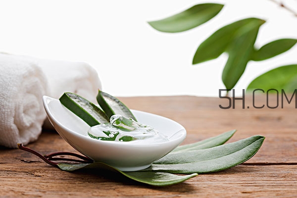 水乳蘆薈膠的使用順序 蘆薈膠和水乳的使用順序 水乳蘆薈膠的使用順序 蘆薈膠和水乳的使用順序
