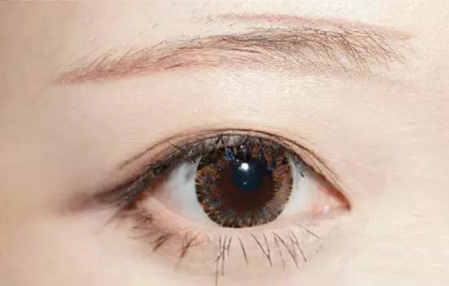 新手怎么畫眉毛圖解 新手畫眉毛的步驟圖片 新手怎么畫眉毛圖解 新手畫眉毛的步驟圖片