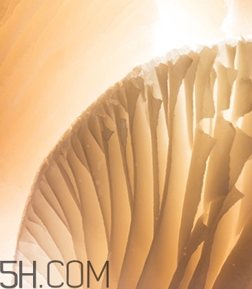 海藍之謎鎏光煥變蜜粉怎么樣？海藍之謎鎏光蜜粉好用嗎